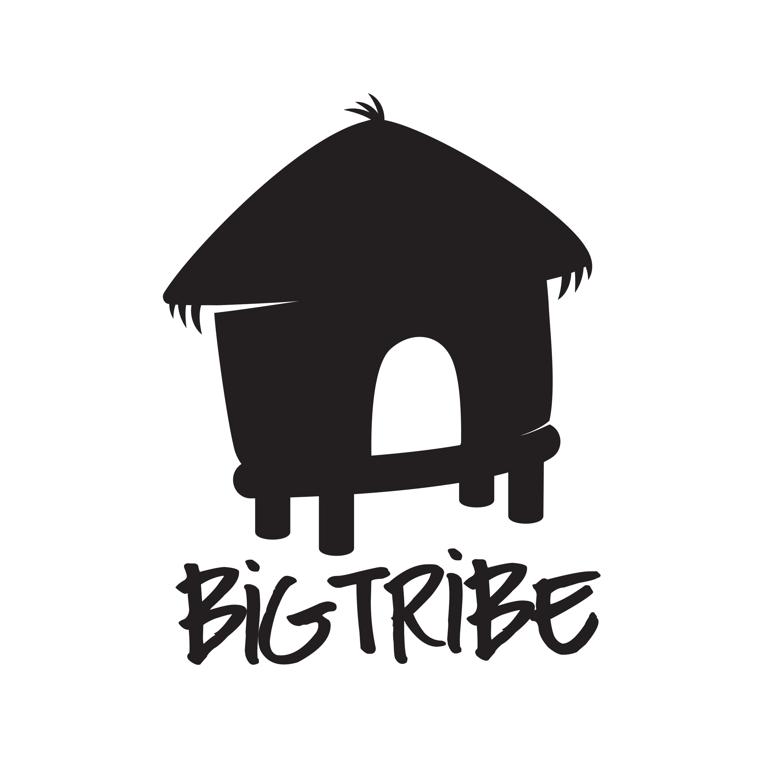 About - Big Tribe